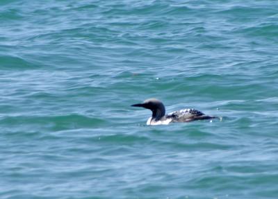 Прикрепленное изображение: zb22.jpg